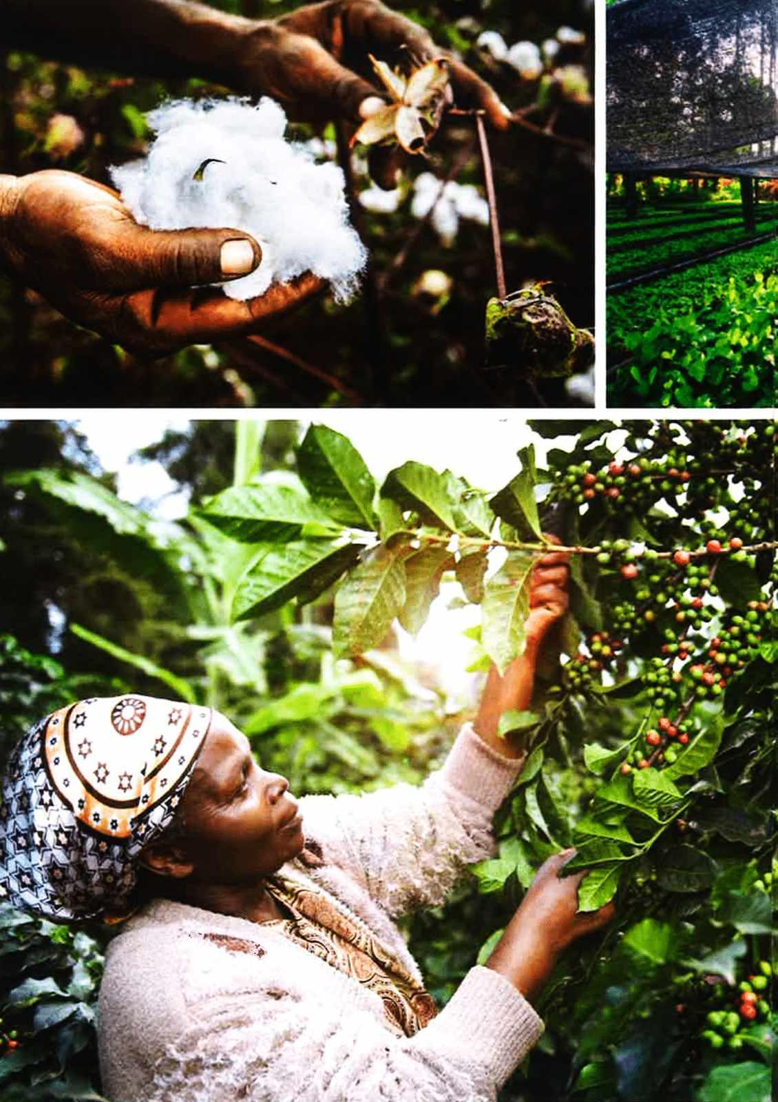 Gazetka promocyjna Tchibo str. 4